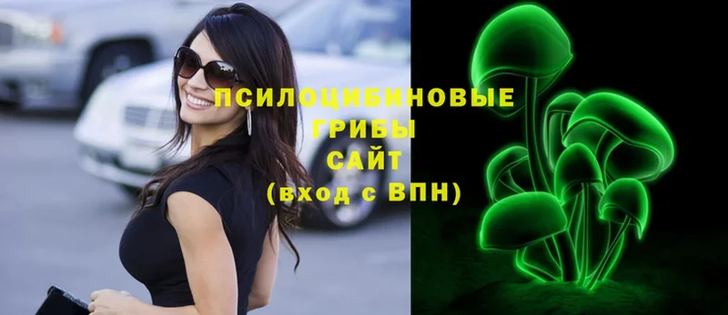 Галлюциногенные грибы Psilocybe  МЕГА зеркало  Великий Устюг 